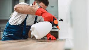 Real Estate Pest Inspections in Prosperity, SC